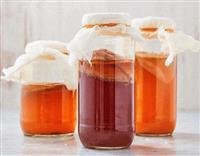 Trà Kombucha và những lợi ích với sức khỏe